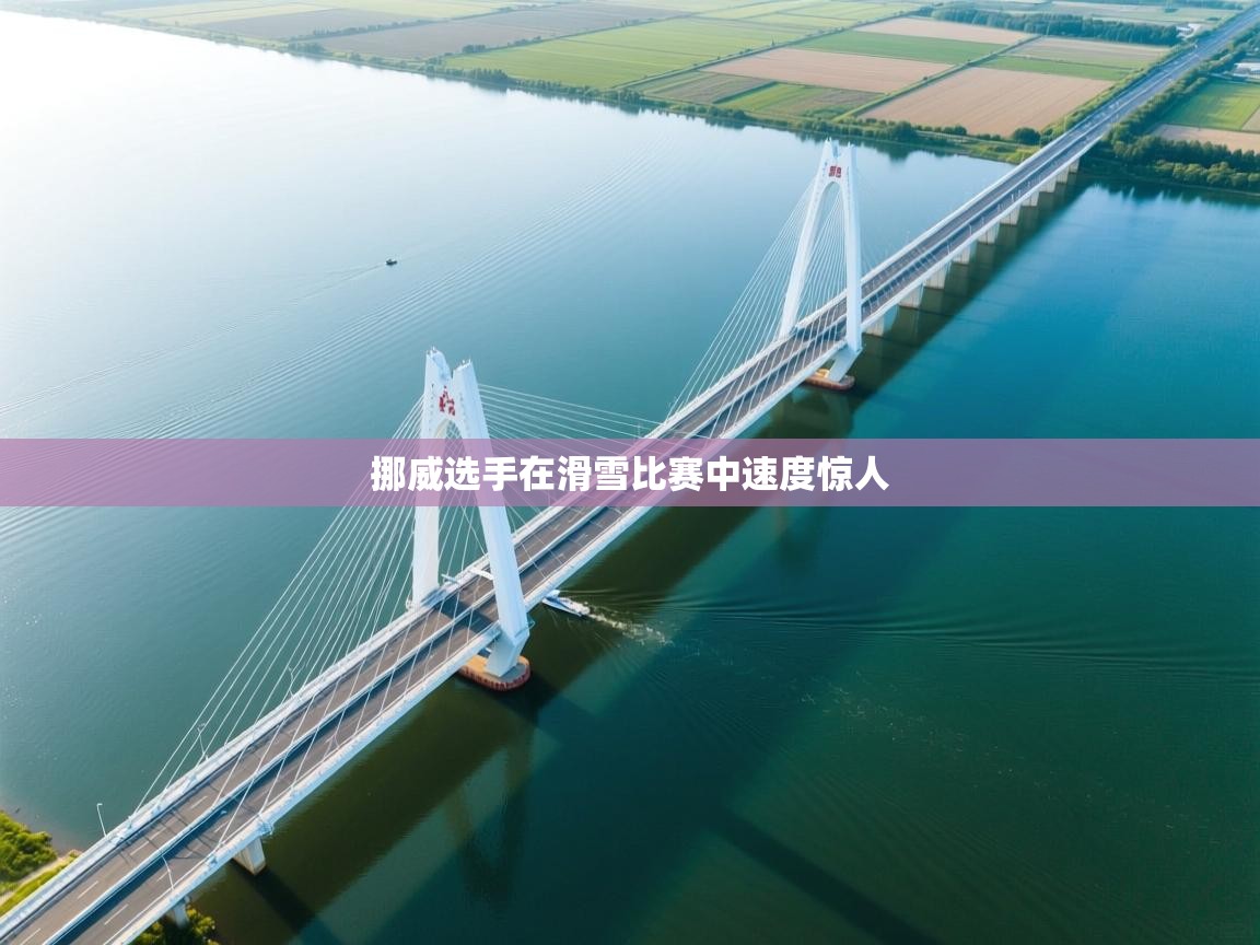 开云体育入口邀请码-挪威选手在滑雪比赛中速度惊人  第1张