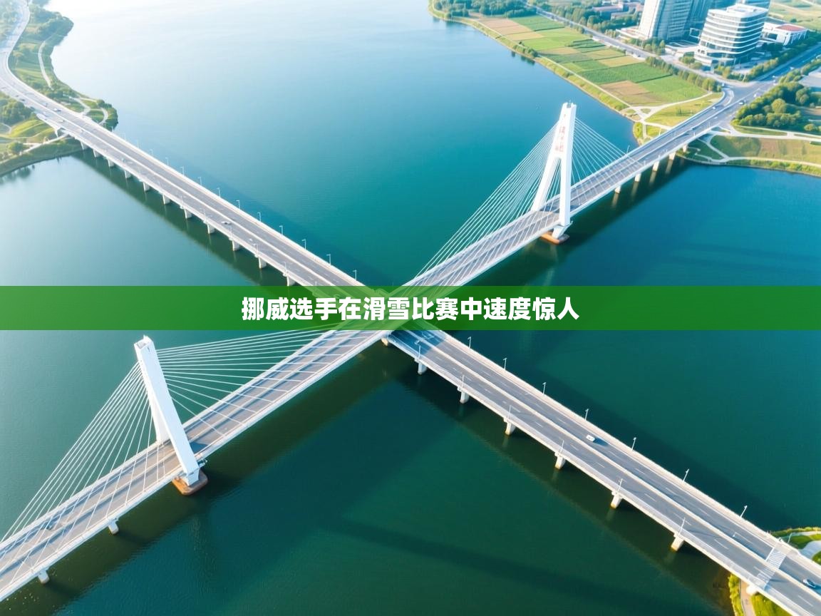 开云体育入口邀请码-挪威选手在滑雪比赛中速度惊人  第3张