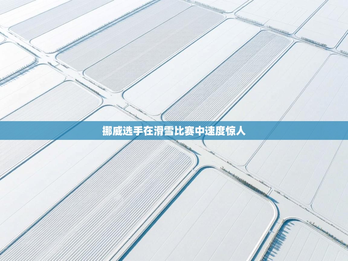 开云体育入口邀请码-挪威选手在滑雪比赛中速度惊人  第4张