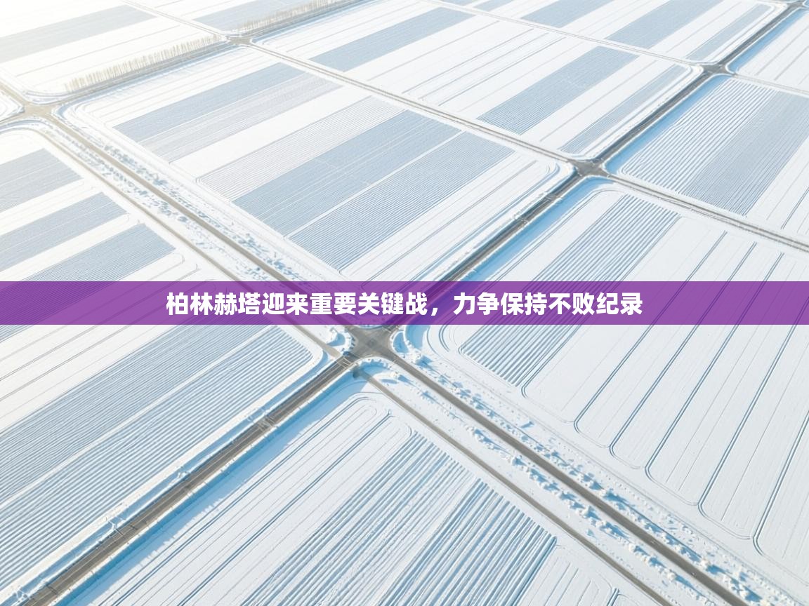 开云体育app下载-柏林赫塔迎来重要关键战,力争保持不败纪录 第1张