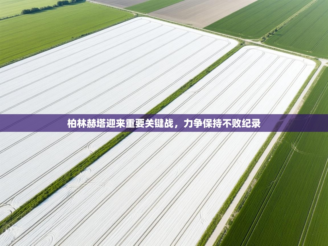 开云体育app下载-柏林赫塔迎来重要关键战,力争保持不败纪录 第3张