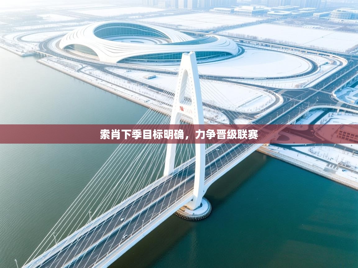 -索肖下季目标明确，力争晋级联赛  第2张