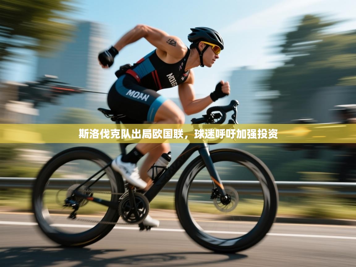 开云体育app评价-斯洛伐克队出局欧国联，球迷呼吁加强投资  第3张